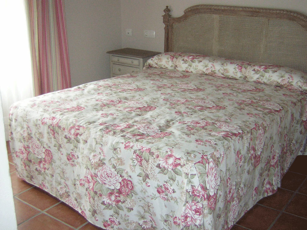 La Casona De Dona Petra Hotell Villarmentero de Campos Eksteriør bilde